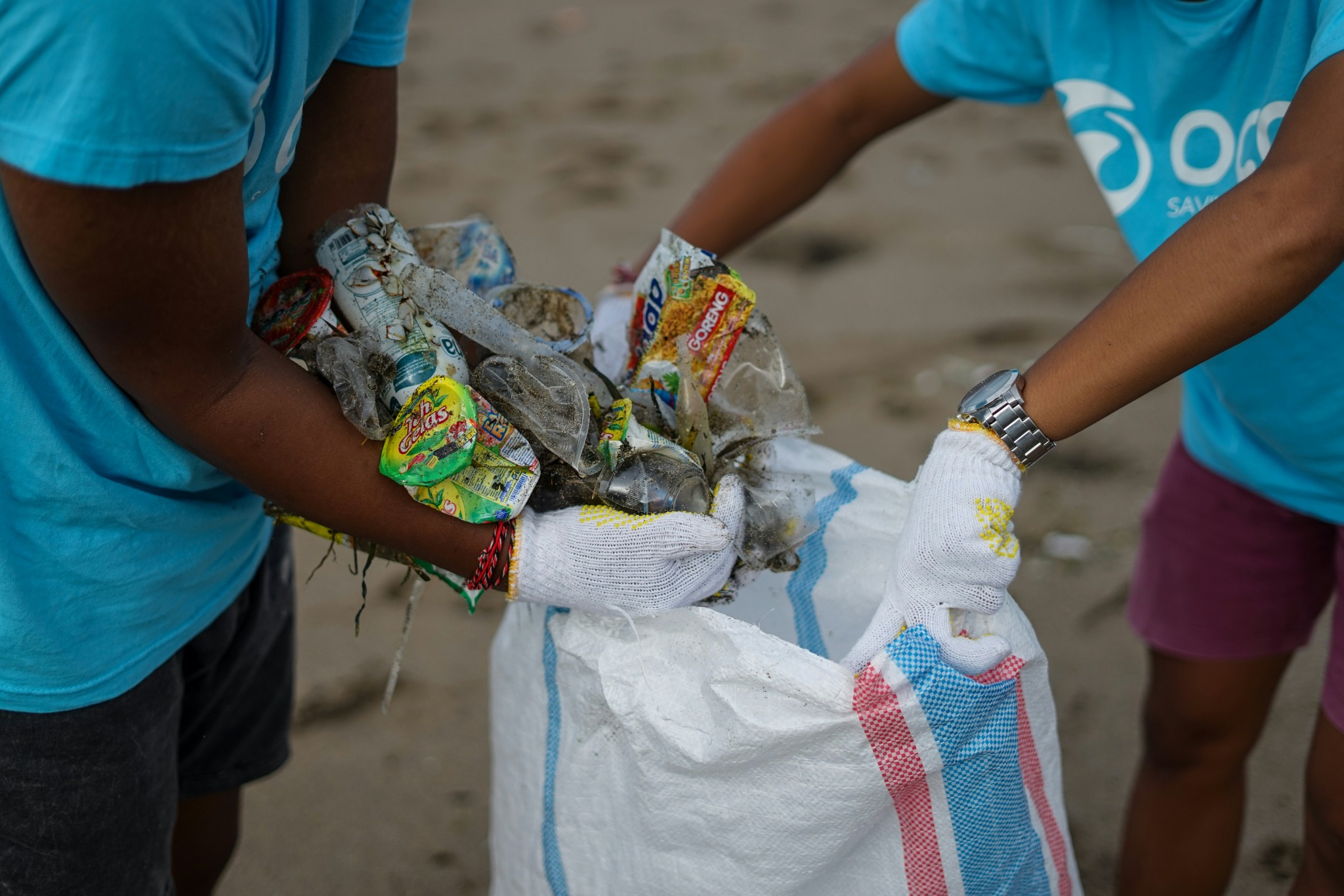 School Recycling Program: Education, Bin Stations and Student-Led Audits
